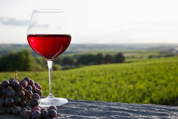 🍷 Ardèche (07) : on leur coupe le canon à minuit, panique dans les bals à saucisses