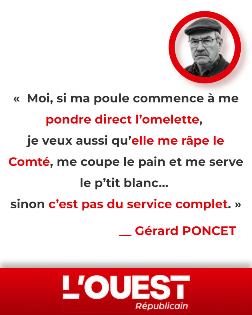 Poules innovantes : en pleine canicule, Bayrou annonce quâelles pondent des omelettes au ComtĂ©. GĂ©gĂ©, Marx et Etchebest rĂ©agissent.