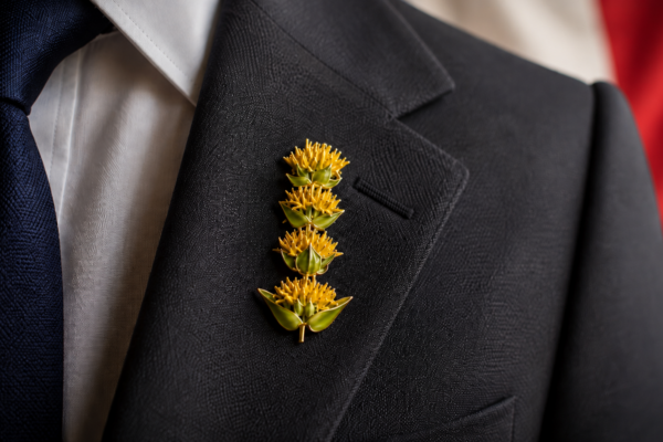 Le Haut-Doubs ne veut pas remplacer le Bleuet de France, mais réclame sa déclinaison locale : une gentiane jaune à la boutonnière.