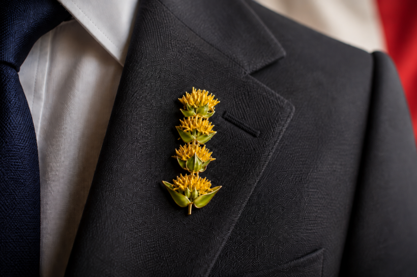Le Haut-Doubs ne veut pas remplacer le Bleuet de France, mais réclame sa déclinaison locale : une gentiane jaune à la boutonnière.