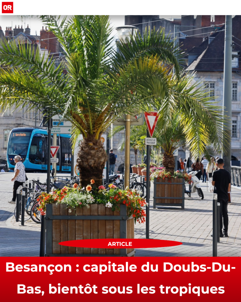 Les palmiers du pont Battant sâeffacent pour chantier, mais Ă Choisey, un banc public montre quâen matiĂšre de chaleur, le mobilier urbain peut aussi servir Ă quelque chose.